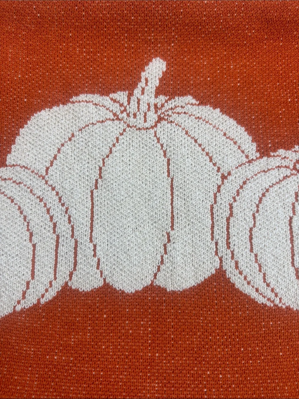 Cupcakes & Cashmere Reversible Pumpkin Knit Pillow Cover 100% Cotton Fall Decor